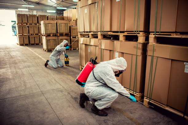Best Termite Control Services  in Lyles, TN