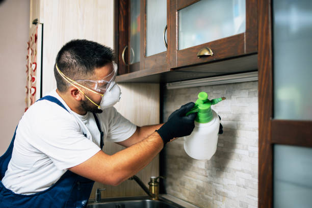 Best Wildlife Control Services  in Lyles, TN