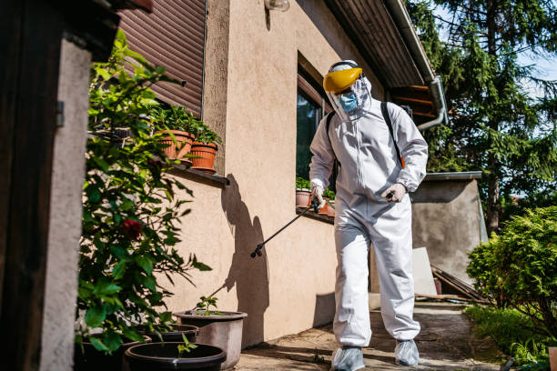 Best Termite Control Services  in Lyles, TN