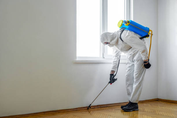 Best Exterminator Services  in Lyles, TN