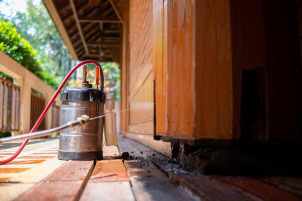 Best Pest Control for Businesses  in Lyles, TN