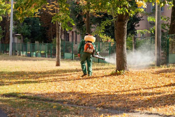 Pest Control for Restaurants in Lyles, TN