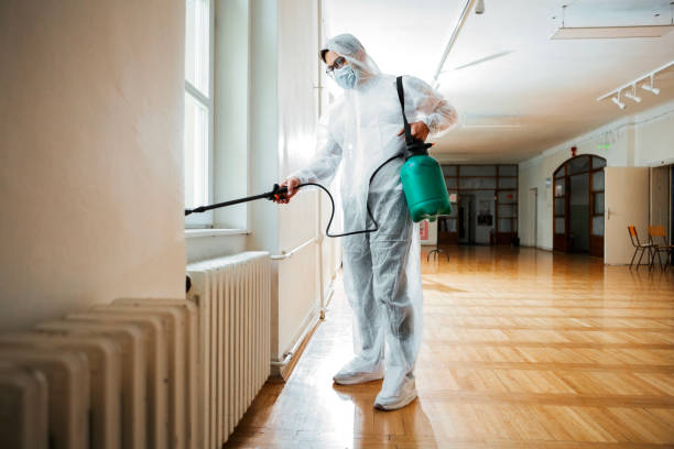 Best Emergency Pest Control  in Lyles, TN