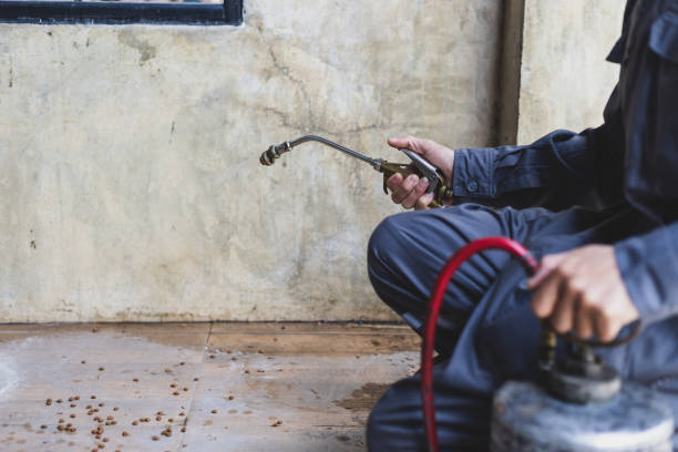 Best Pest Prevention Services  in Lyles, TN